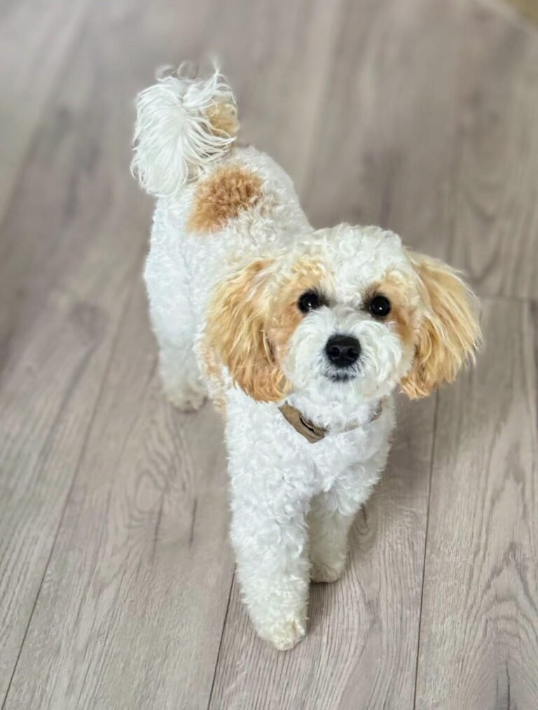 7650be33-6b43-4e44-b390-ab868e16fd66