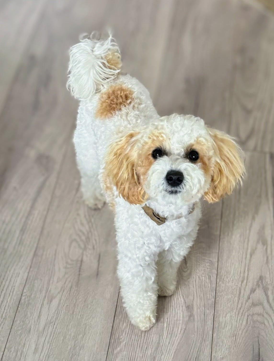 7650be33-6b43-4e44-b390-ab868e16fd66