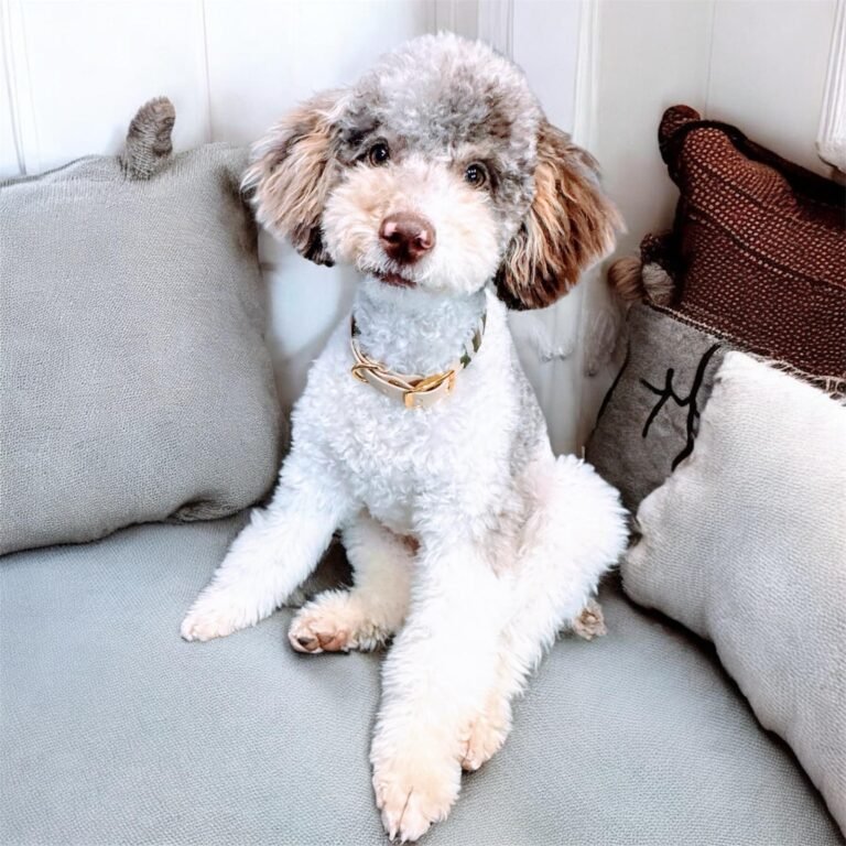 ac485434-ab2c-49c5-b78e-91e68710f989